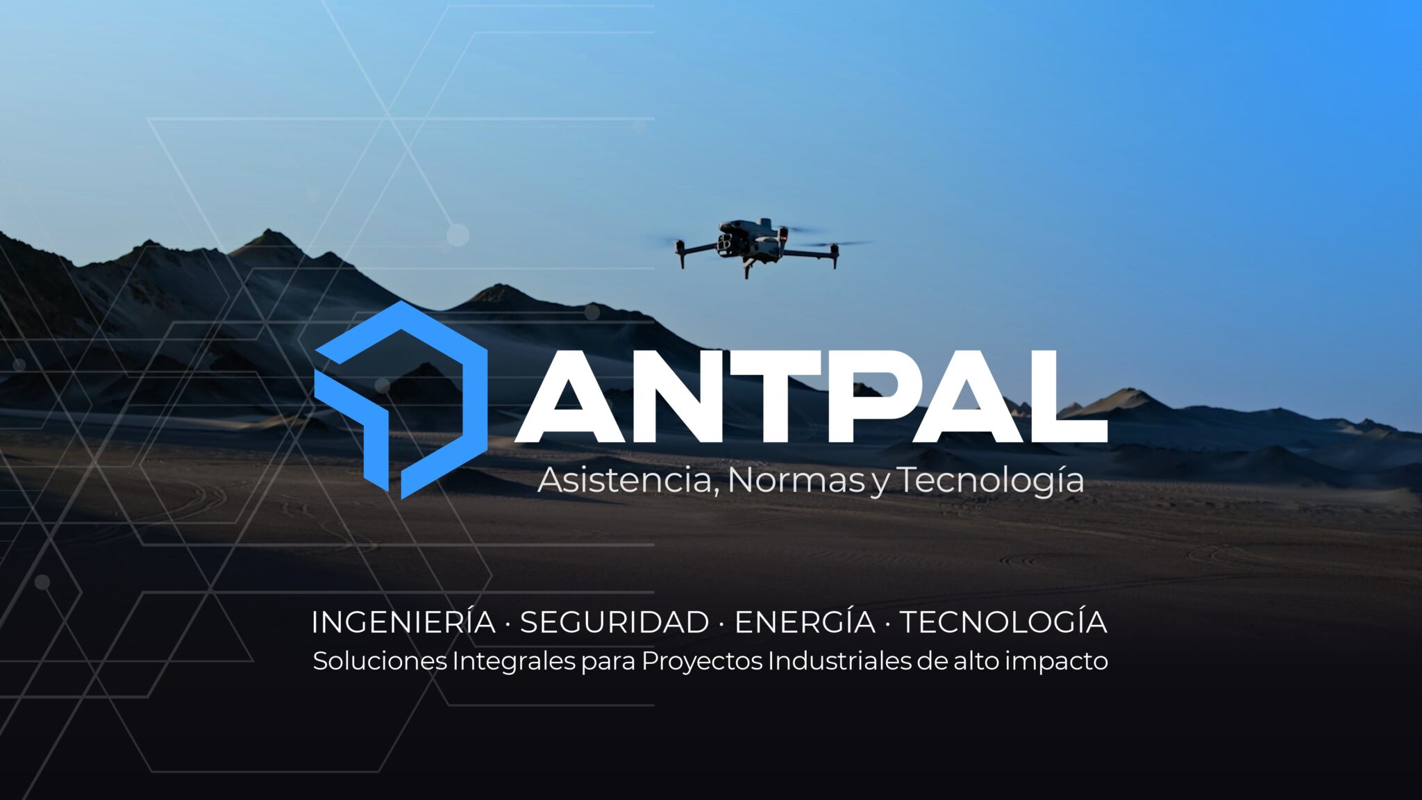 ANTPAL Consultora